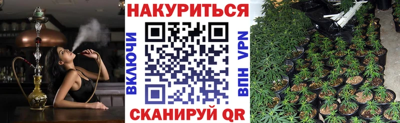 Канабис SATIVA & INDICA  Тетюши 